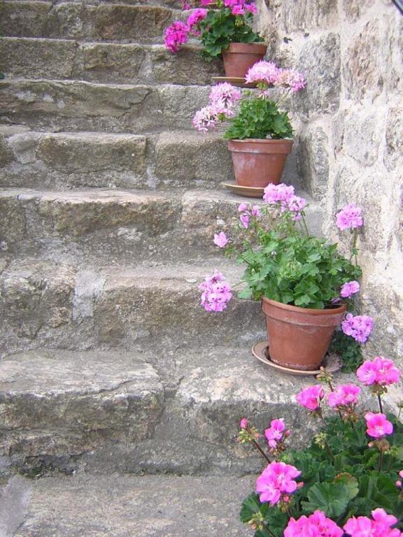 Thueyts Mas Casta Nea B&B 외부 사진